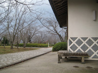 Medium_名和公園 (8)s